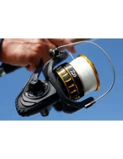 Daiwa BG