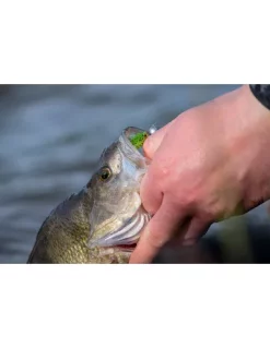 Fox Rage Micro Jig Heads