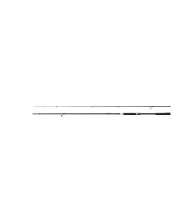 Shimano Moonshot Light Shore Jigging 290cm 10-52gr