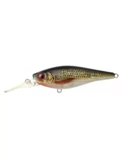 Spro Ikiru Shad 70LL